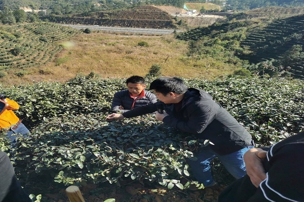 院茶葉所在紫金縣舉辦“紫金蟬茶”有機肥使用技術專題培訓班1 - 副本.jpg