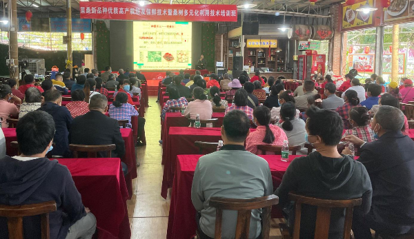圖片1.jpg
