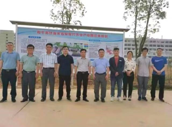省農科院專家團隊參觀和平縣絲苗米產業園。
