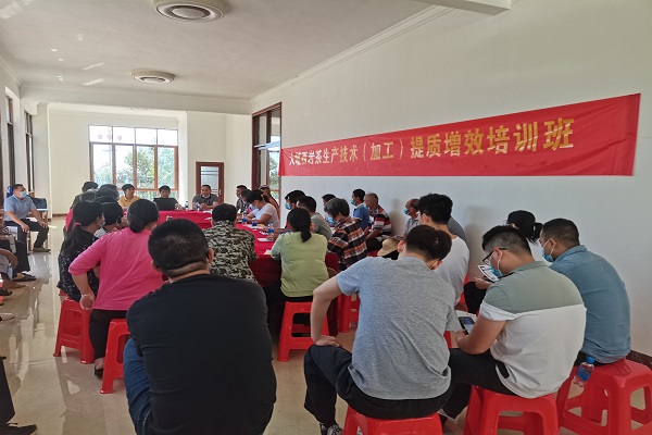 茶葉所專家為大埔西岩茶生產技術（加工）提質增效培訓班授課指導2-副本.jpg