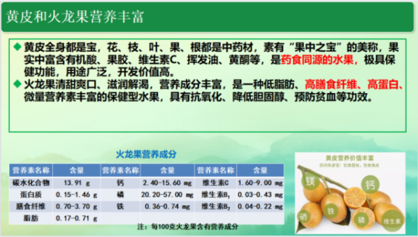 黃皮和火龍果營養價值高