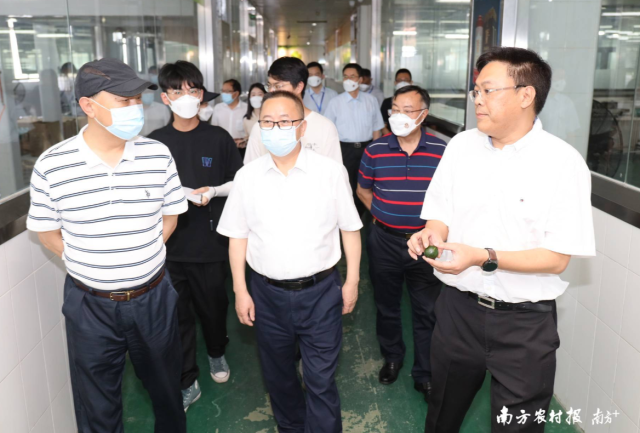 與會院士、專家學者等共同調研新會陳皮國家現代農業產業園麗宮研發加工園，了解麗宮僑寶新會小青柑茶加工等情況。