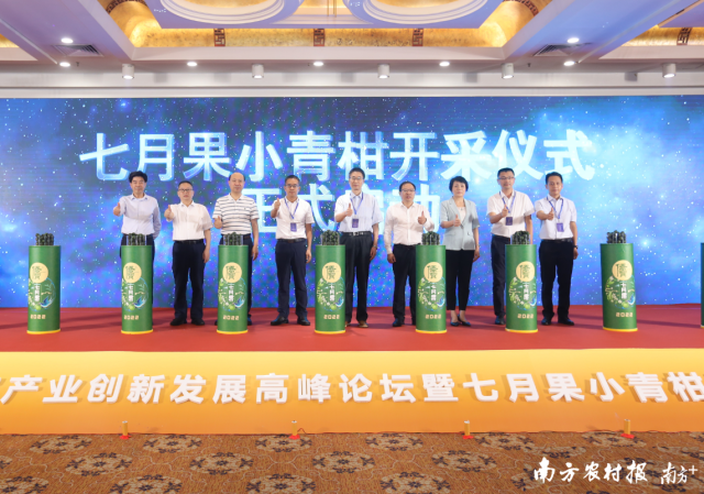 中國工程院院士、中國農業大學食品科學與營養工程學院教授任發政，中國工程院院士、南昌大學教授謝明勇，中國工程院院士、湖南省農業科學院院長單楊，江門市人民政府黨組成員、副市長曹陽，佛山科學技術學院副院長曾新安，江門市農業農村局黨組成員、副局長王小麗，江門市新會區人民政府副區長吳誌斌，江門市新會區農業農村局局長蘇朝榮，廣東麗宮國際酒店管理有限公司總裁、新會陳皮行業協會永久榮譽會長區柏餘共同進行七月果小青柑開采儀式。