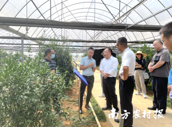 必威betways
黨委書記廖森泰一行赴新會區調研。