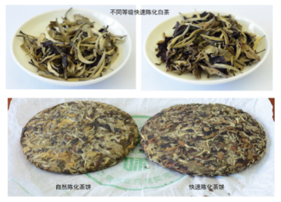 茶葉快速陳化（醇化）技術.jpg