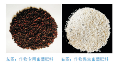 增效富硒肥料生產技術.jpg