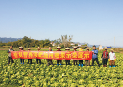 有機營養液肥高效使用技術.jpg