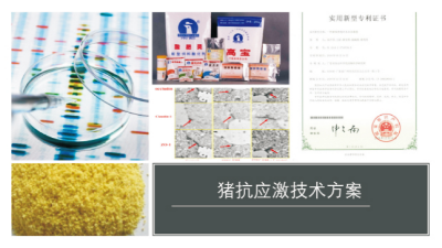 豬抗應激技術.jpg
