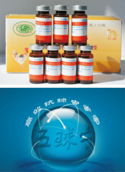 雞球蟲病的綜合防控技術.jpg