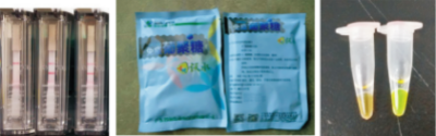 常見水產病害綜合防控技術.jpg