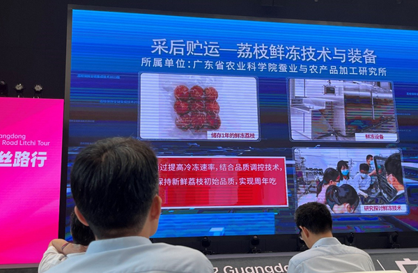 圖片說明