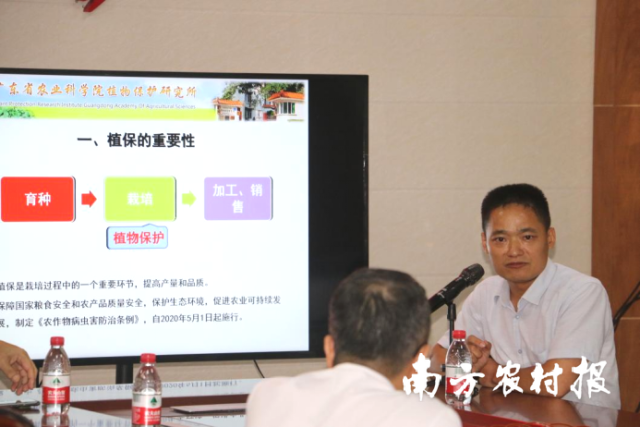 廣東省農科院植保所副研究員淩金鋒