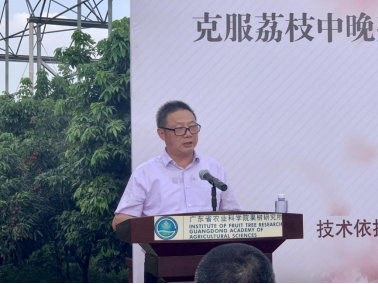 國家荔枝龍眼產業技術體係首席科學家、華南農業大學園藝學院院長陳厚彬在會上發言