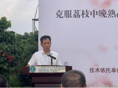 必威betways
院長陸華忠在會上致辭