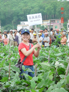蔬菜所茄果類研究團隊研究員孫保娟剛入職時在田間推廣“農夫”長茄。