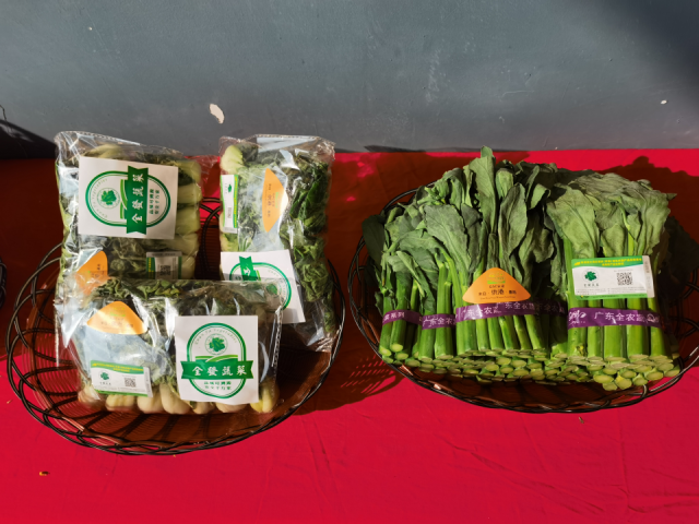 活動現場展示的蔬菜產品。