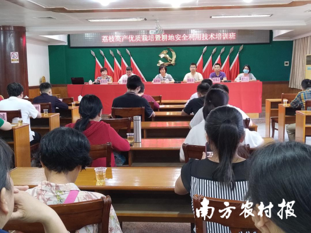 受訪者供圖