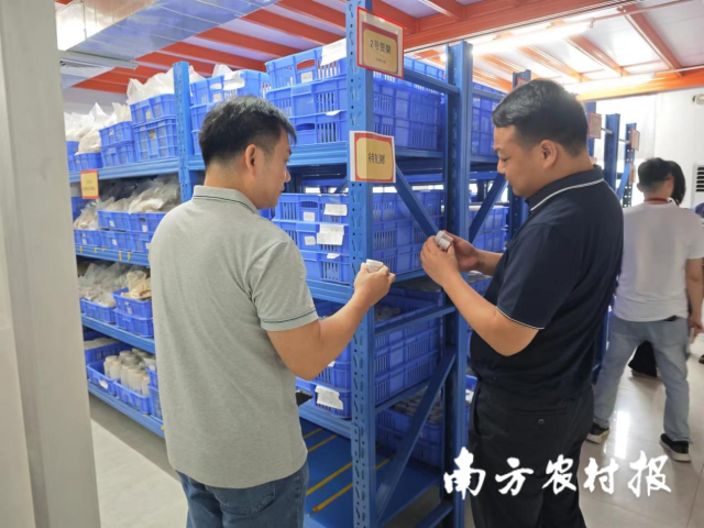 檢查組專家正在仔細檢查樣品標簽