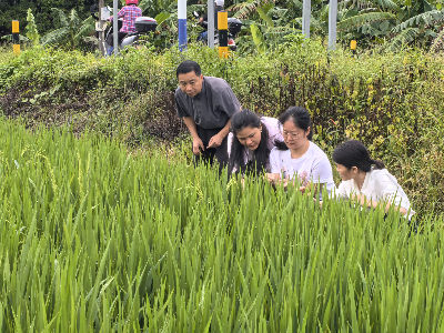 自動轉存圖片