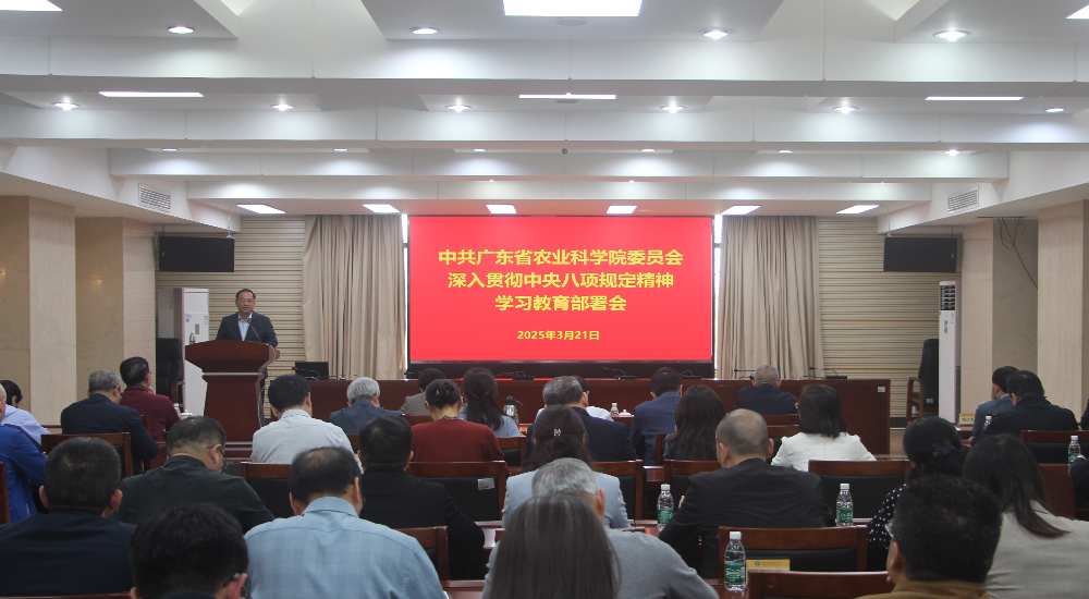 院黨委召開深入貫徹中央八項規定精神學習教育部署會議