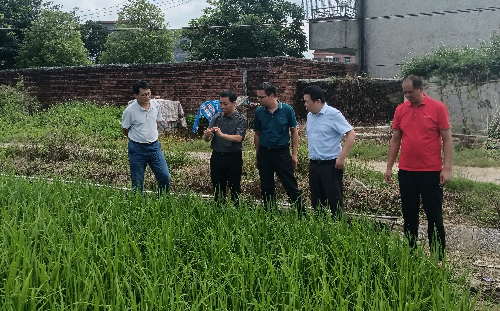 植保所到翁源開展“雙百行動”科技服務對接.jpg