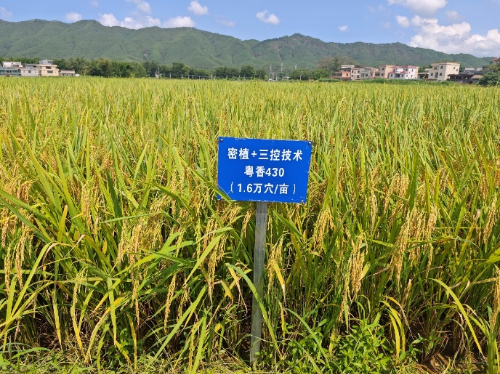 圖片3.png